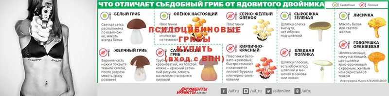 Псилоцибиновые грибы ЛСД  кракен ТОР  Белёв 